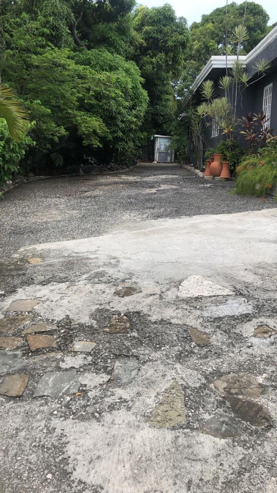 In The Heart Of Kingston Βίλα Εξωτερικό φωτογραφία